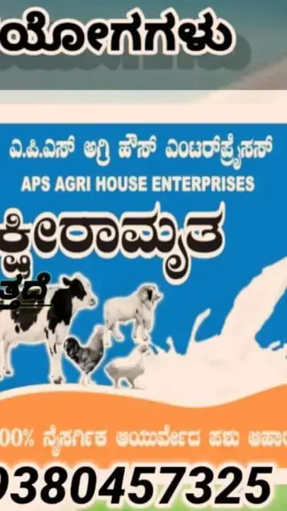 Main Banner Image 1